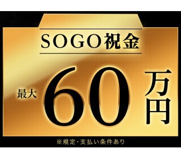 ＜河内郡上三川町＞目視で製品チェック/工具を使って組付け＊手当合...