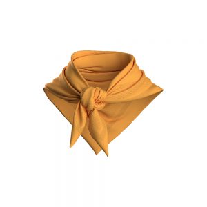 CS1-6603-SF CS1-6603-SF