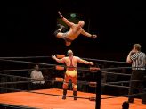 プロレスの味方は、いたしかねます（上）スポーツの秋雑感　その３