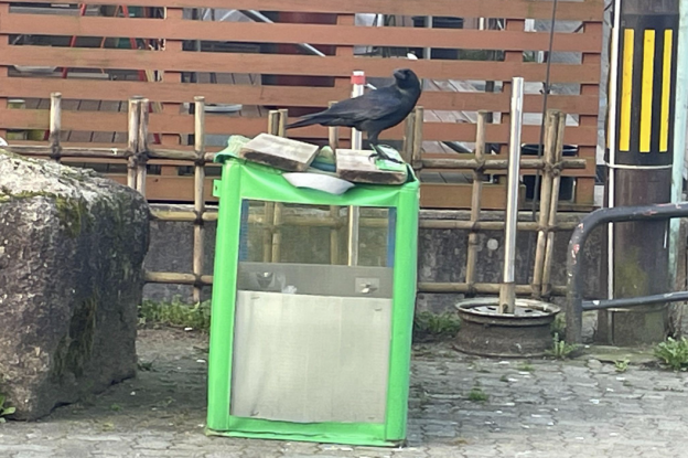 カラス退治、まずは兵糧攻め「高岡発ニッポン再興」その４１