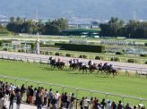 「くる春のときめきに　しのぶよすがの桜花賞」文人シリーズ第１４回「競馬を詠んで右に出るものなし　志摩直人」