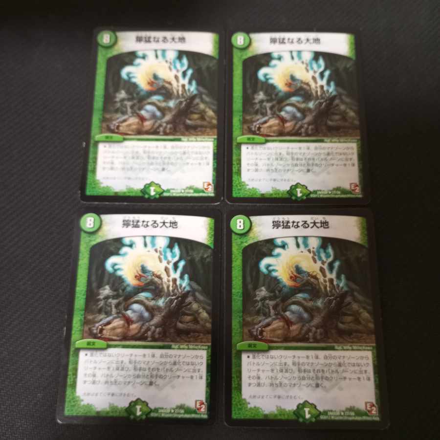 【PSA10】獰猛なる大地