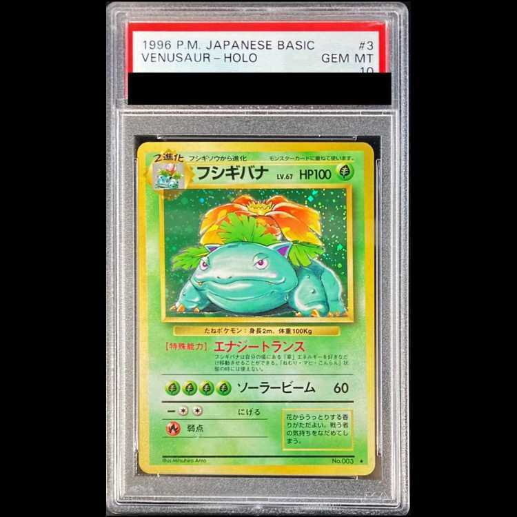 【PSA10】Vulva Holo with mark Old Back