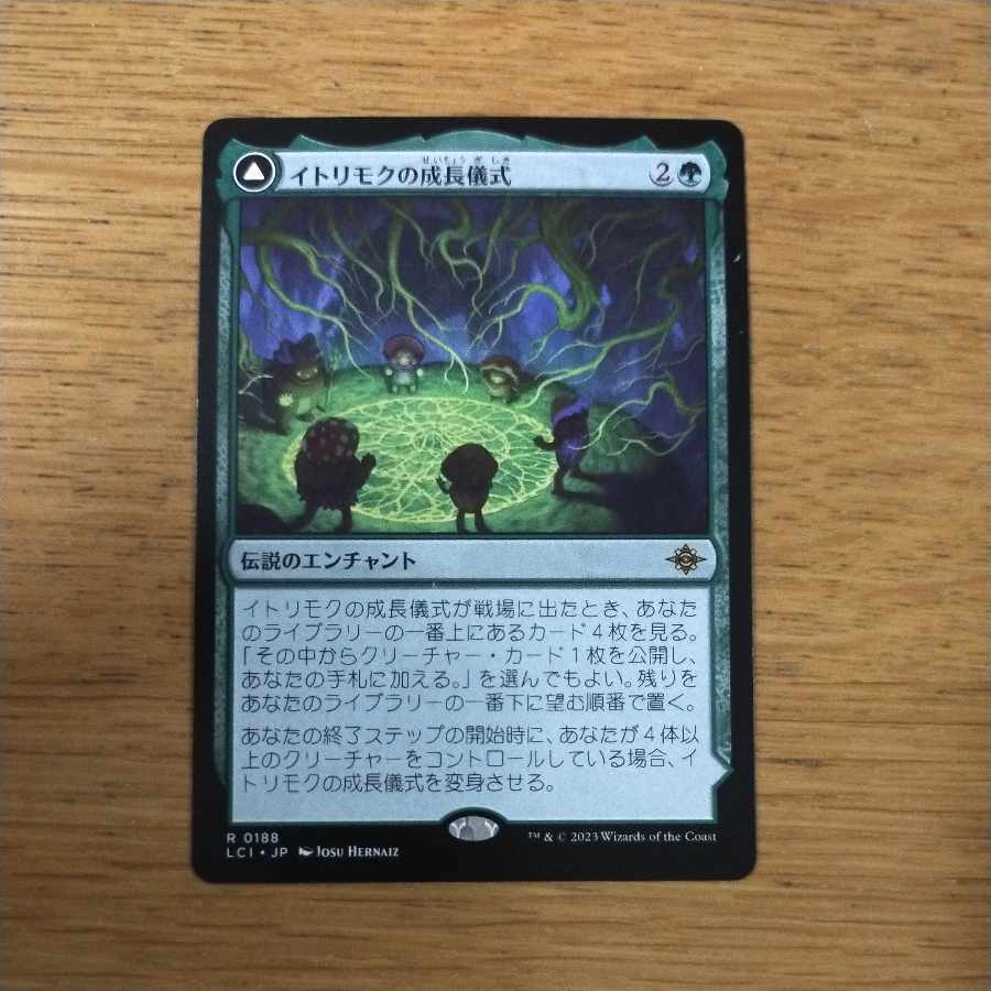 イトリモクの成長儀式