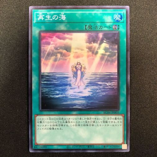 再生の海