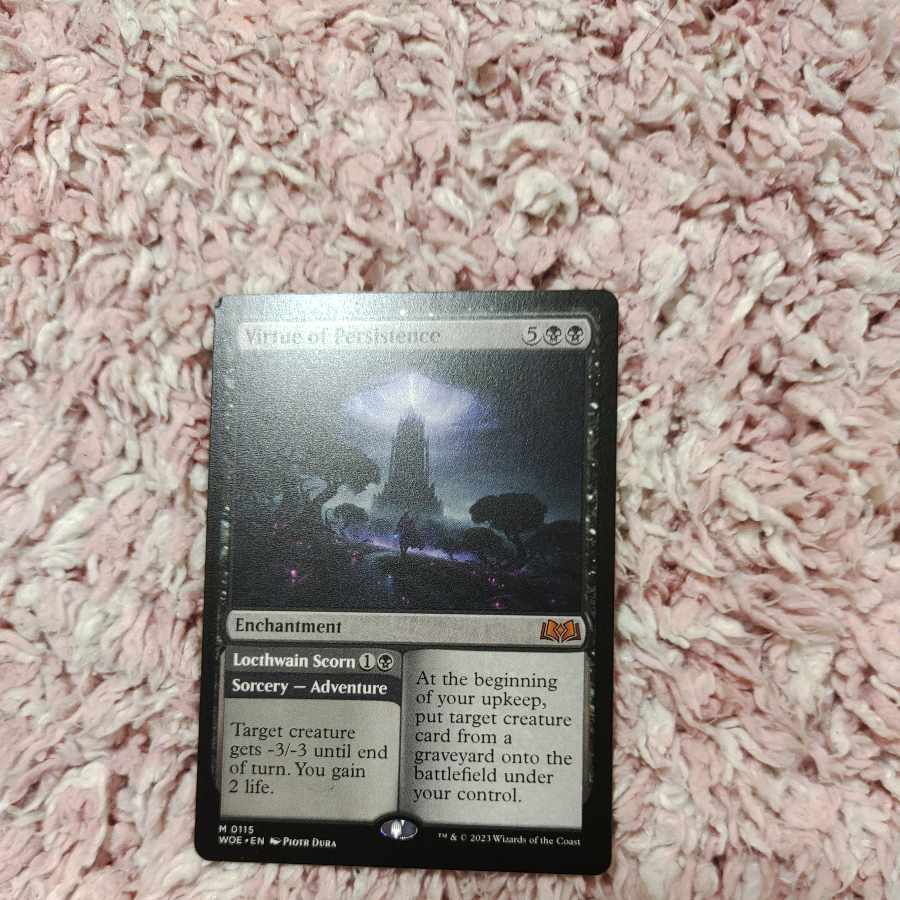 Virtue of Persistence