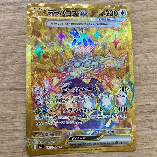 テラパゴス UR」の激安通販 | magi