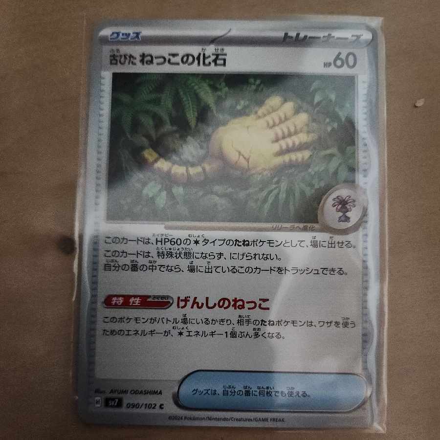 古びたねっこの化石