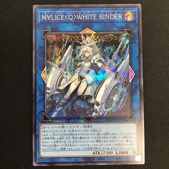 M∀LICE〈Q〉WHITE BINDER