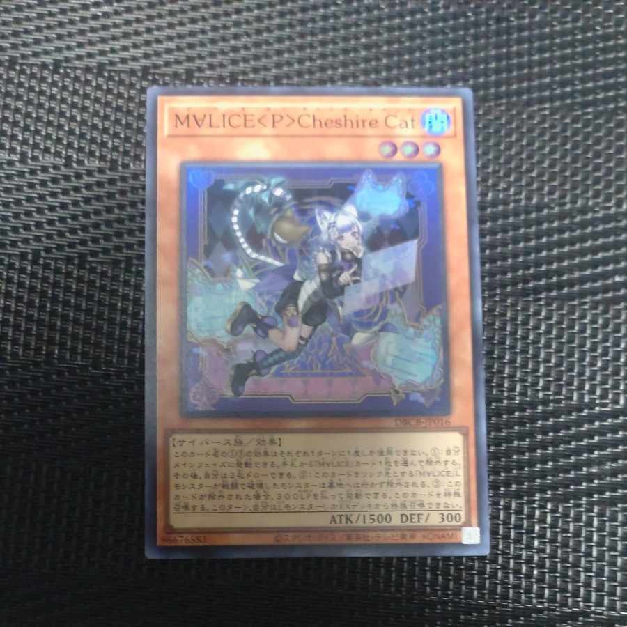 M∀LICE〈P〉Cheshire Cat