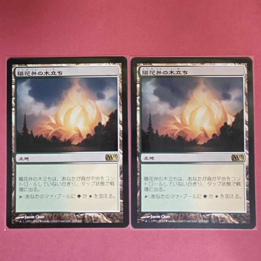 陽花弁の木立ち