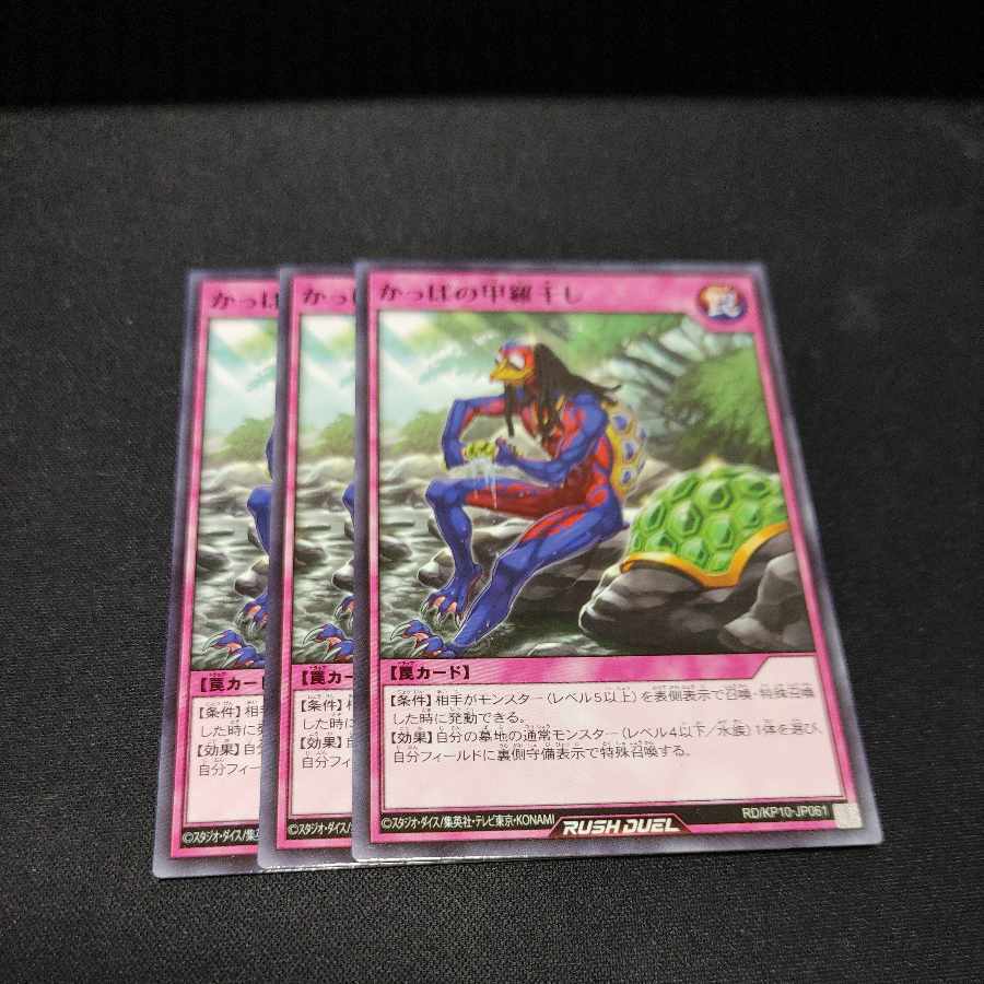 かっぱの甲羅干し