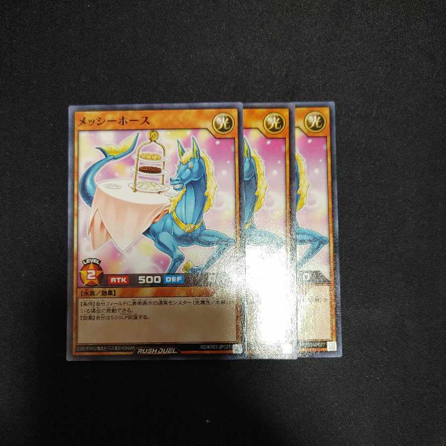 メッシーホース