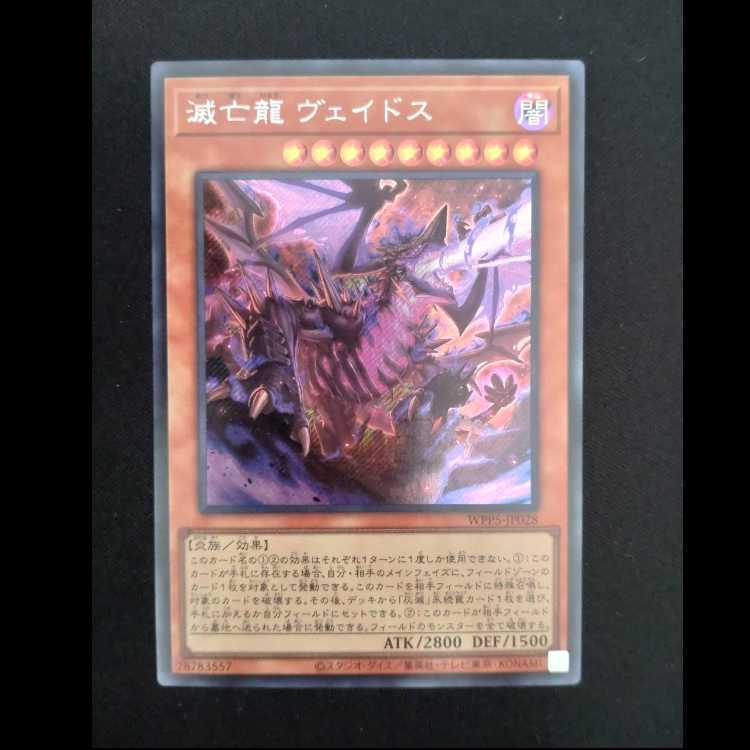 滅亡龍 ヴェイドス