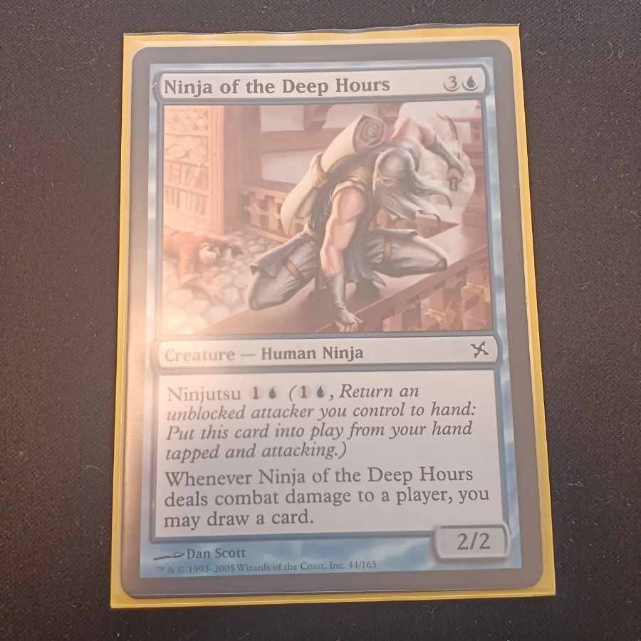 Ninja of the Deep Hours