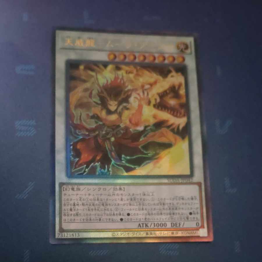 天威龍-ムーラ・アーダラ