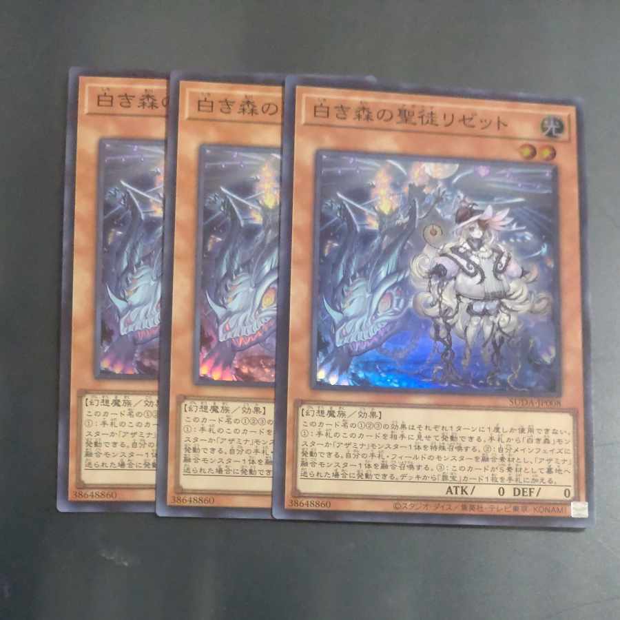 白き森の聖徒リゼット