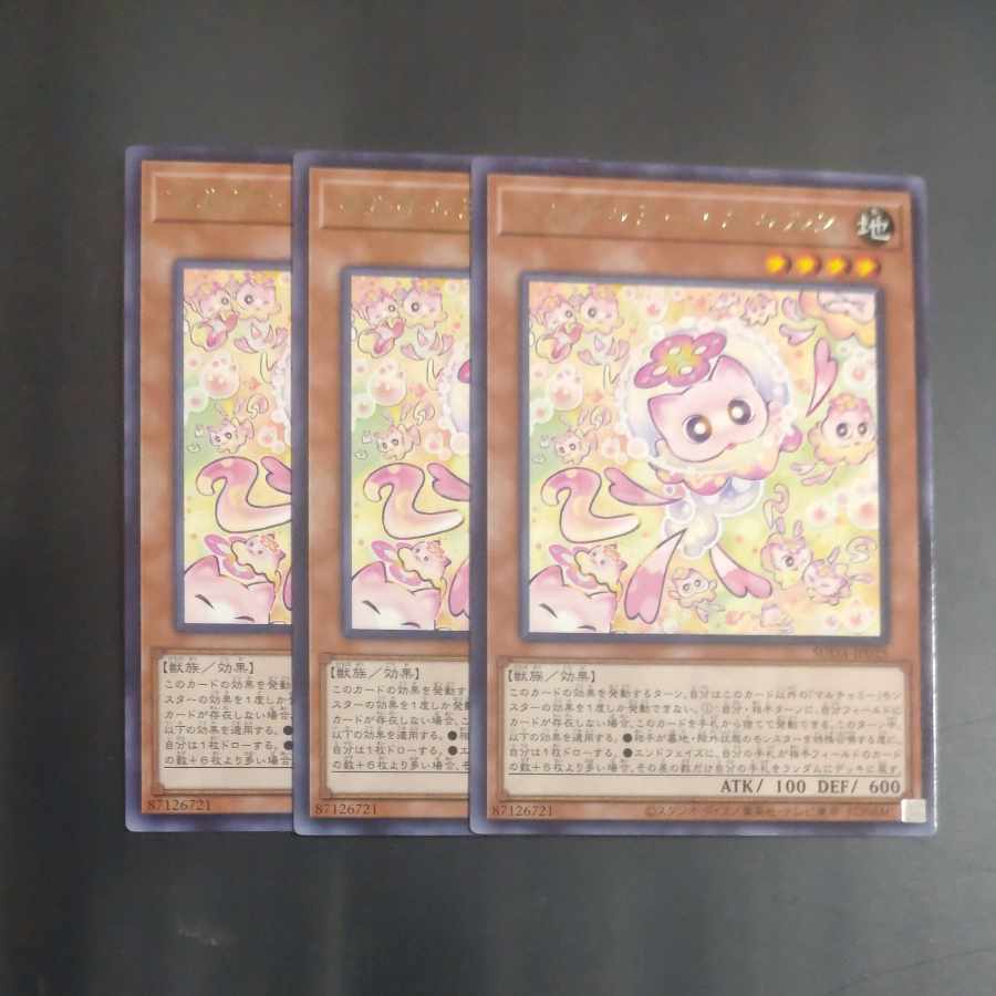 マルチャミー・ニャルス