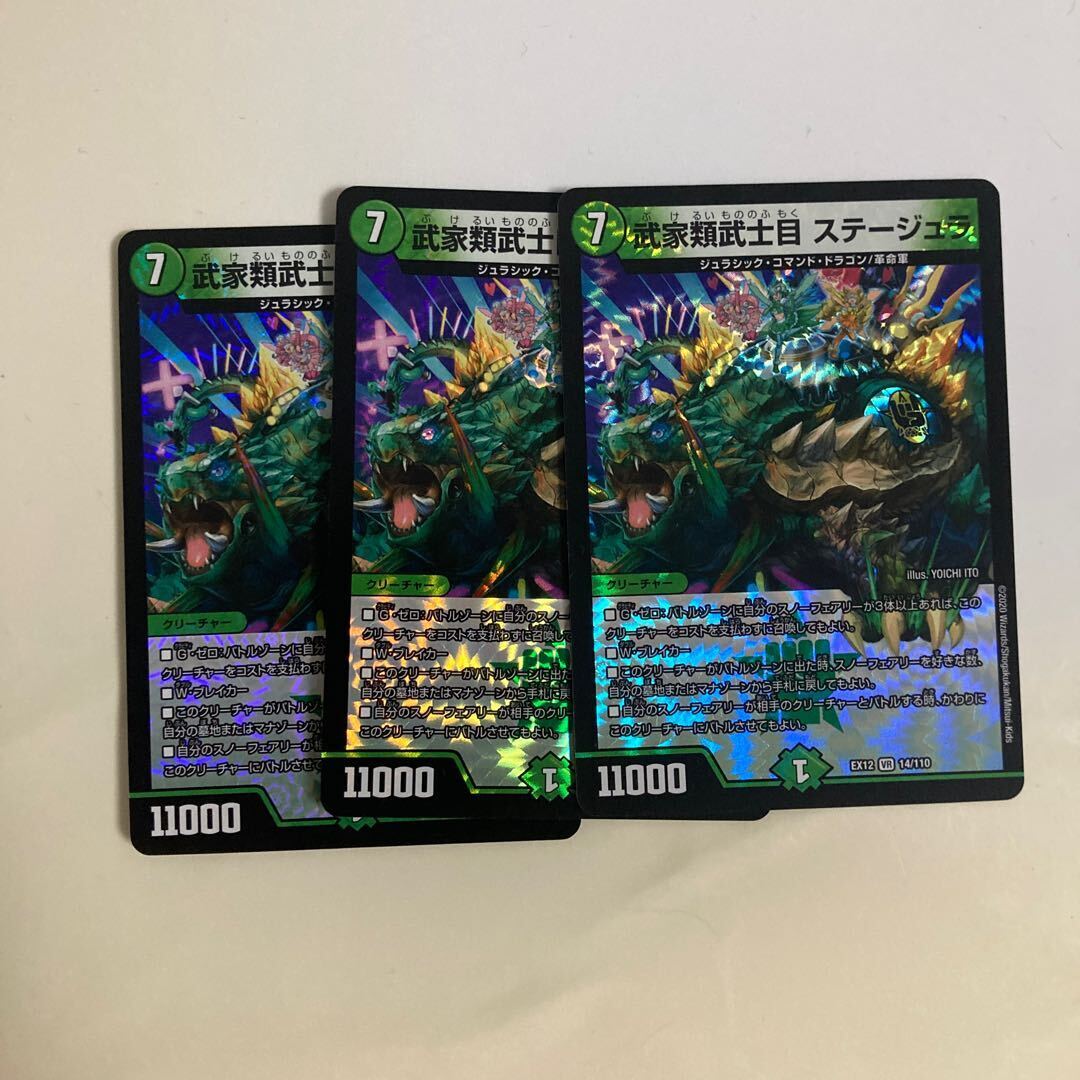 武家類武士目 ステージュラ