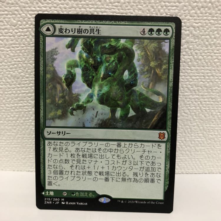 変わり樹の共生