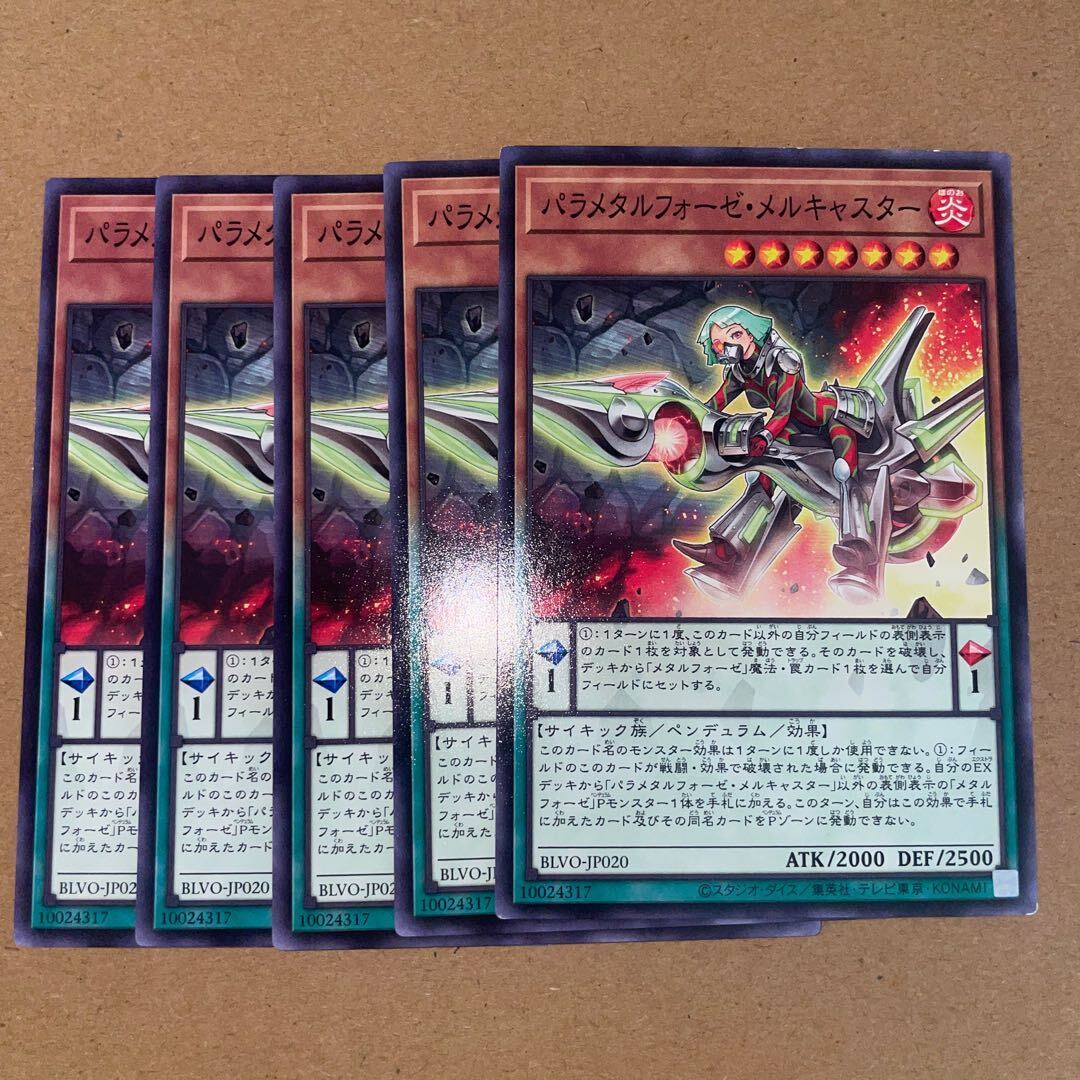 Parametalfoes Melcaster