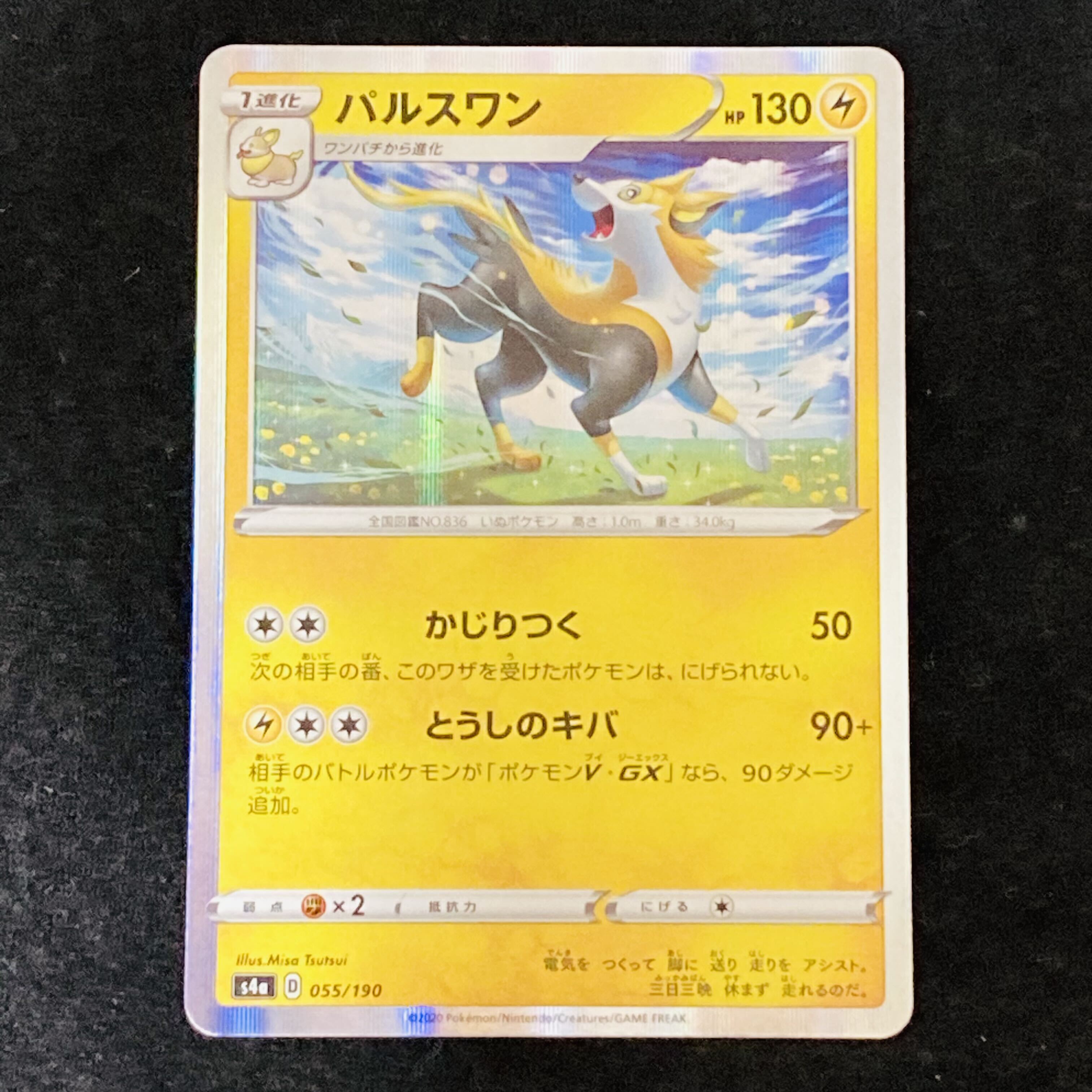 パルスワン(R仕様)