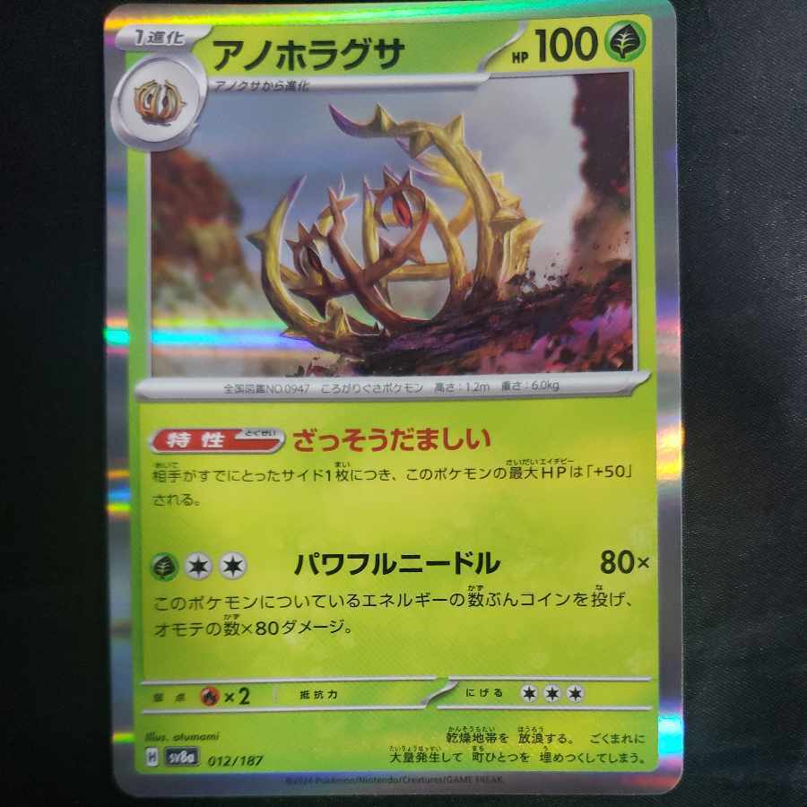 アノホラグサ(R仕様)