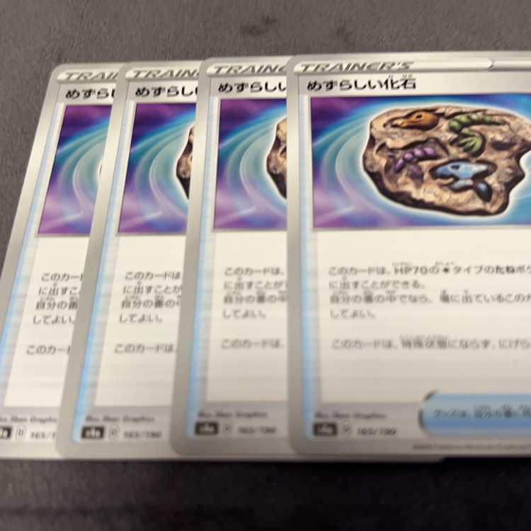 めずらしい化石