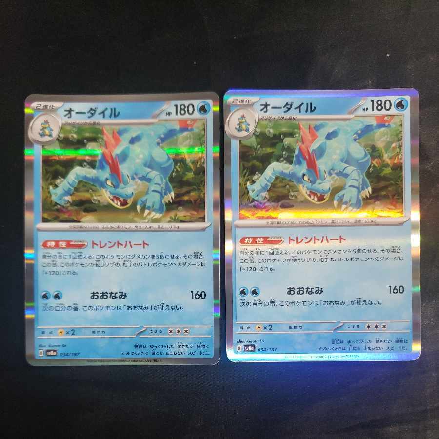 オーダイル(R仕様)