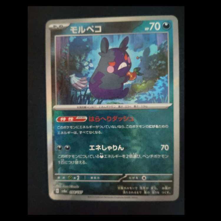 モルペコ(マスターボール柄/ミラー仕様)