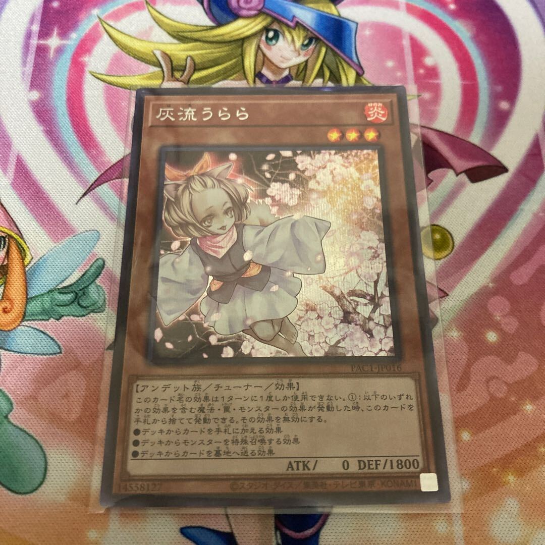 クララ&」の激安通販 | magi