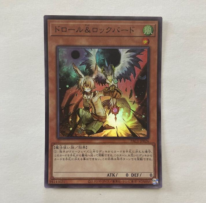 Drawル&ロックバード