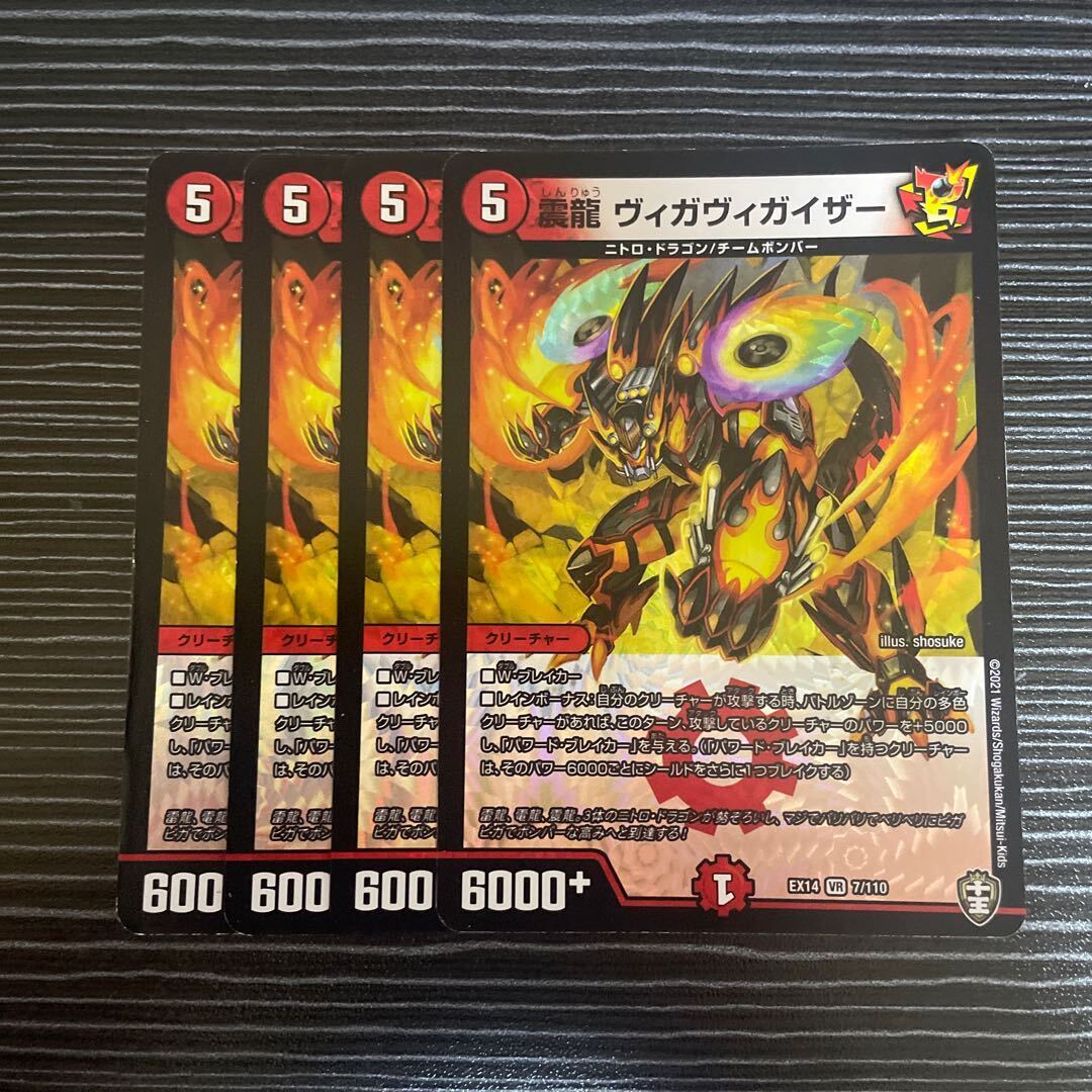 震龍 ヴィガヴィガイザー