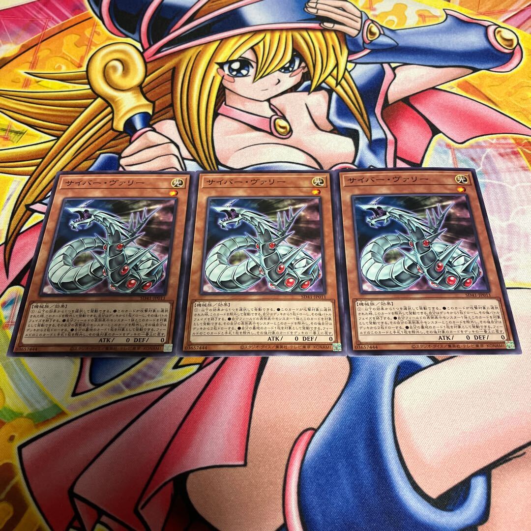 サイバー・ヴァリー