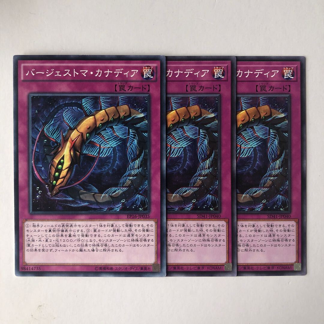 バージェストマ・カナディア