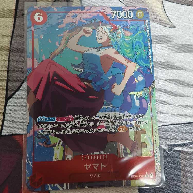 ヤマト(パラレル)