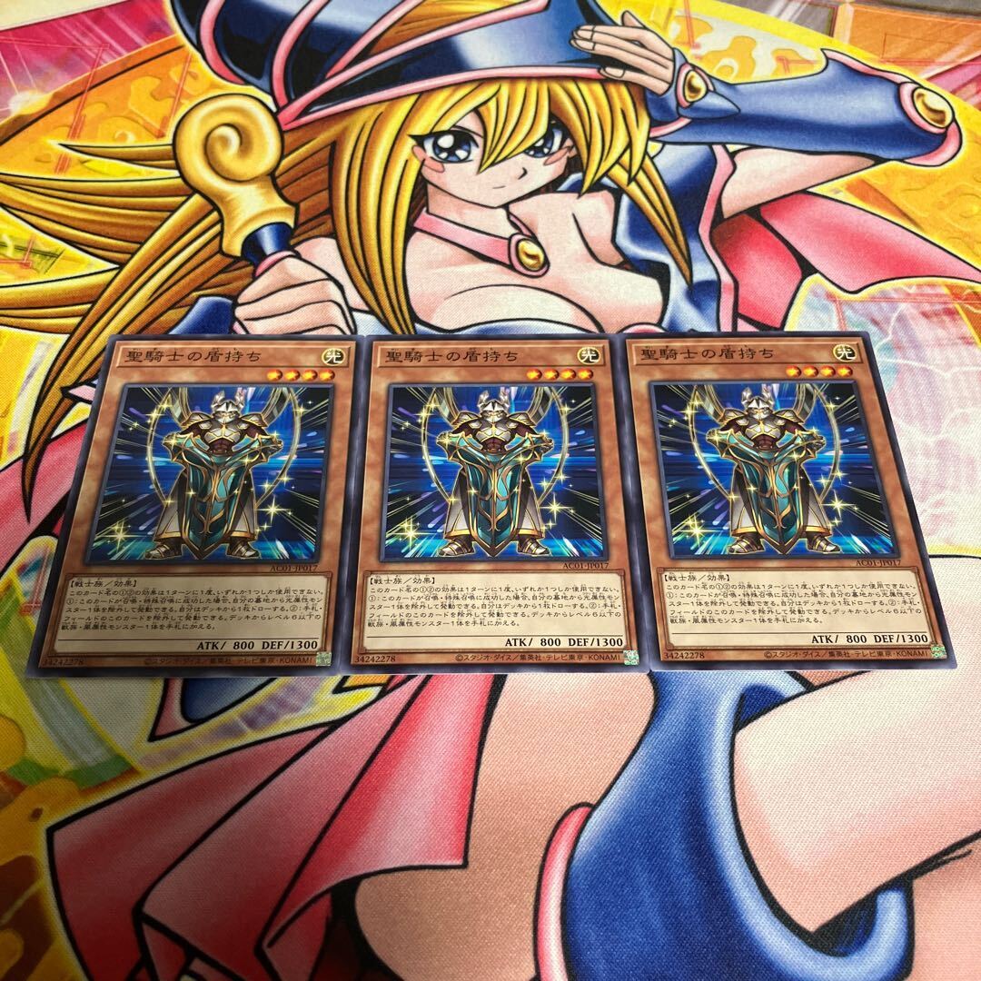 Noble Knight's Shield-Bearer