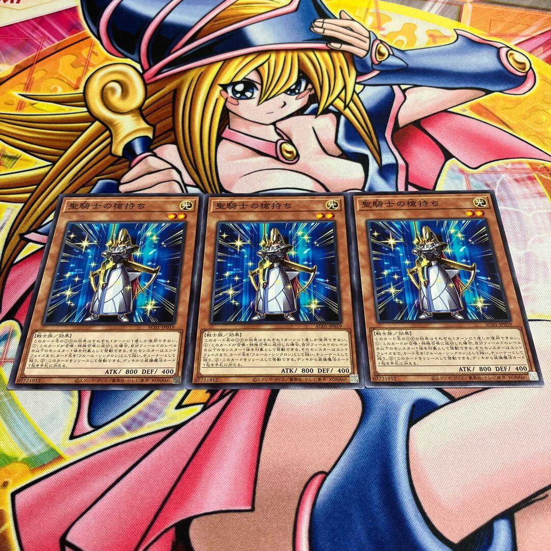 聖騎士の槍持ち