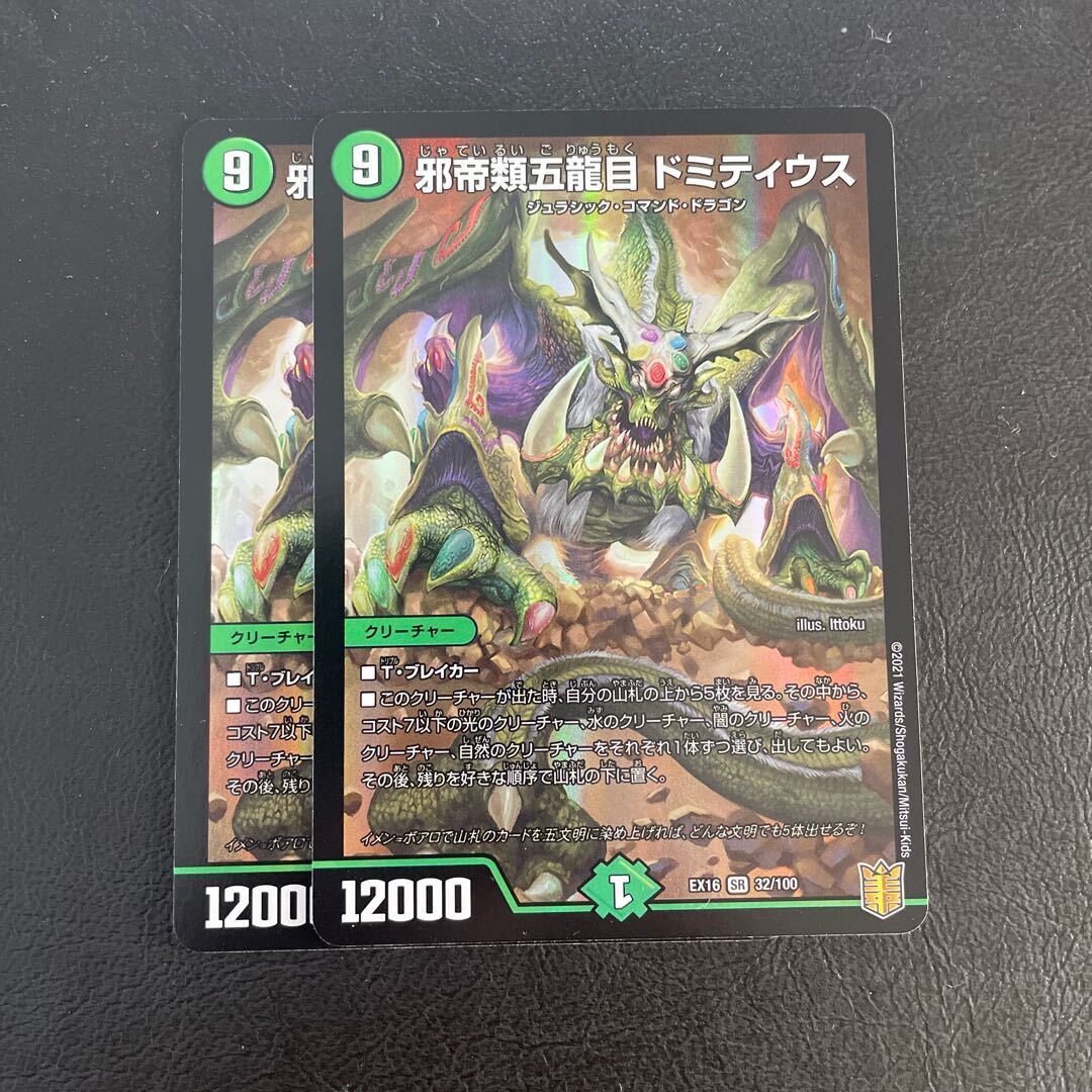 邪帝類五龍目 ドミティウス