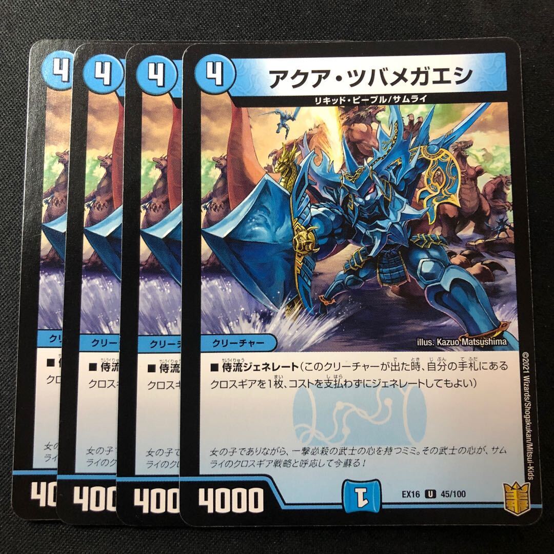 アクア・ツバメガエシ