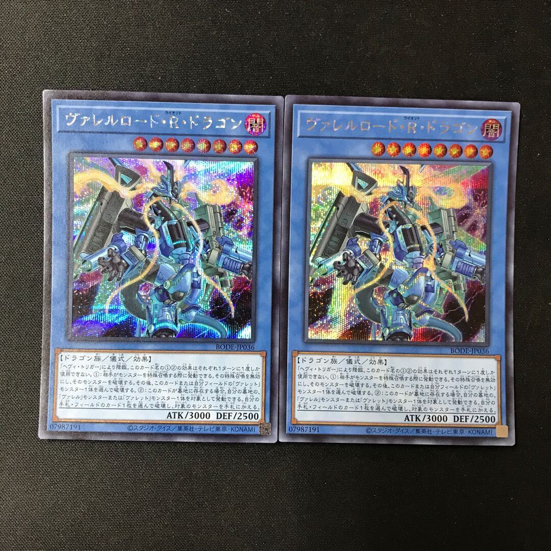 Borreload Riot Dragon