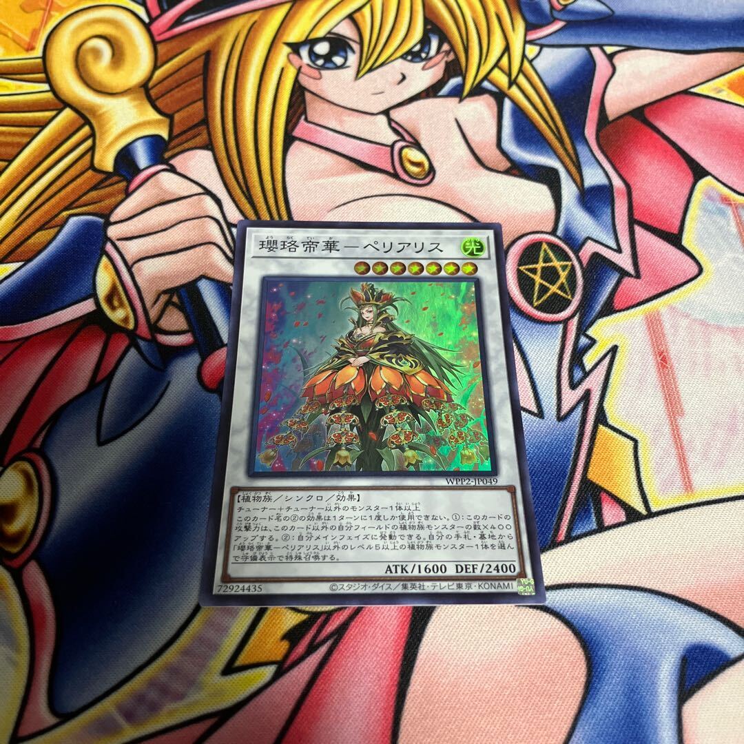 瓔珞帝華-ペリアSquirrel