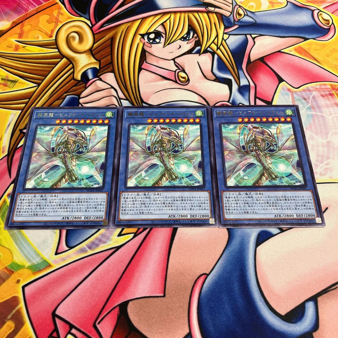 颶風龍-ビュフォート・ノウェム