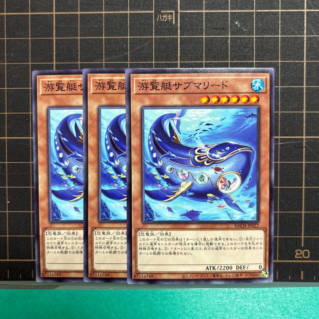 游覧艇サブマリード