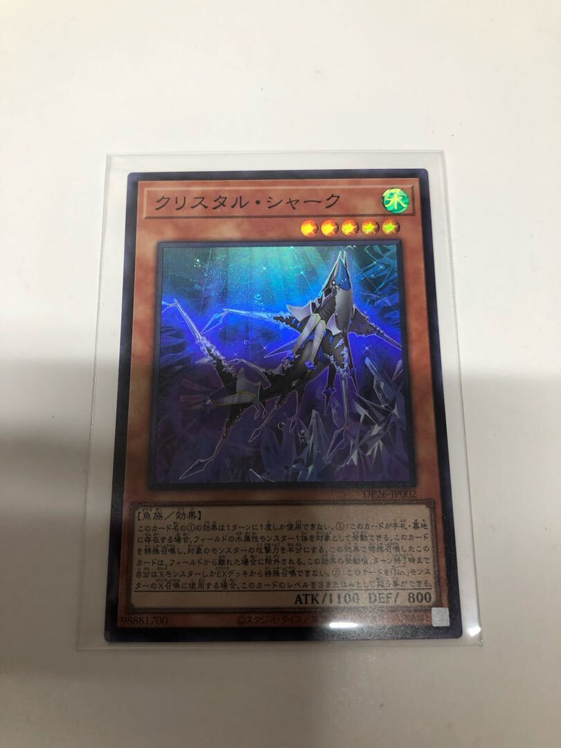 クSquirrelタル・シャーク