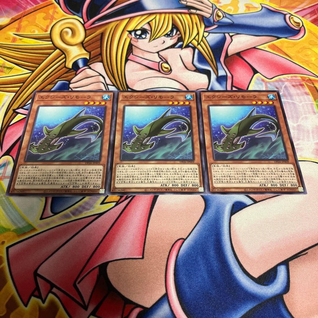 エクシーズ・リモーラ