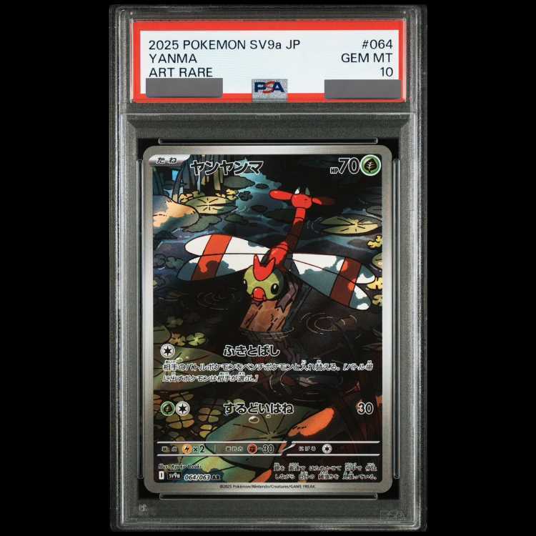 【PSA10】ヤンヤンマ