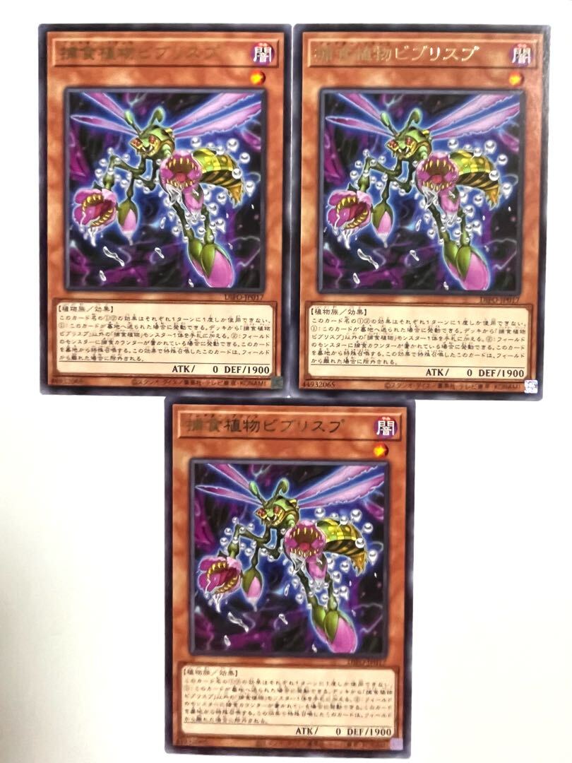 捕食植物ビブリスプ