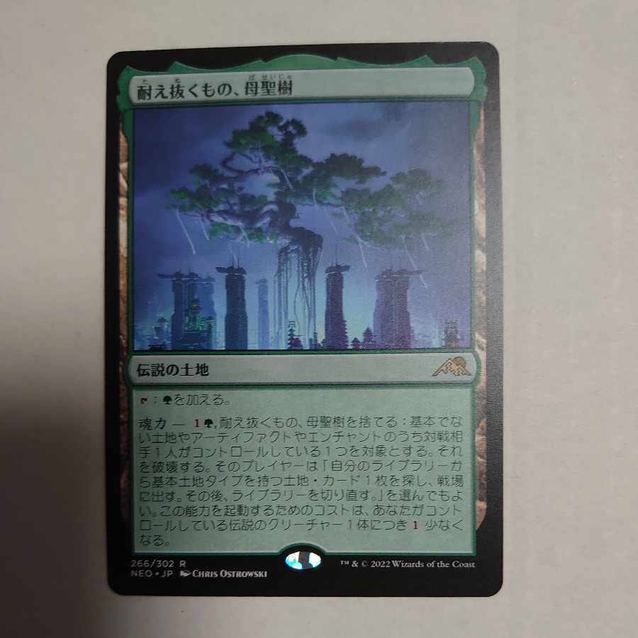 【BGS9.5】ゴールド　風霊媒師ウィン25th　日本市場　最上位BGS9.5 BGS9.5】ゴールド 風霊媒師ウィン25th 日本市場 最上位BGS9.5