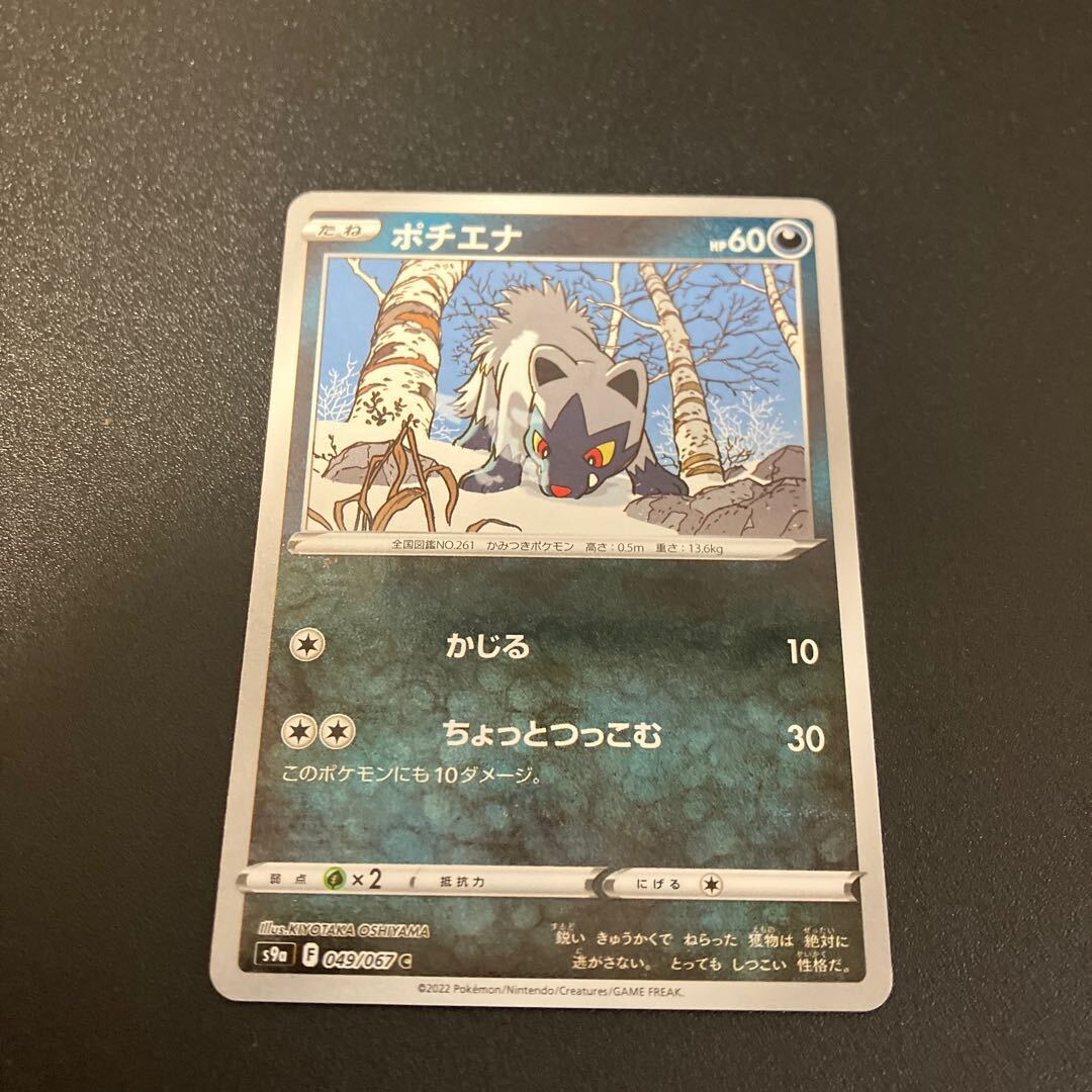 ポチエナ(ミラー)